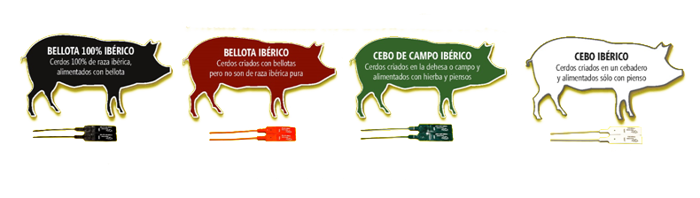 precintos ibericos 1